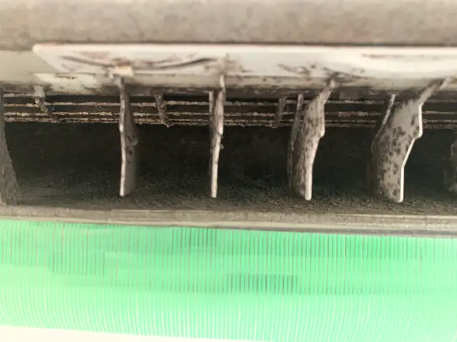 2台以上で割引◎安心の損害保険加入済み！弊社のスタッフは全員非喫煙者です！サービスの画像
