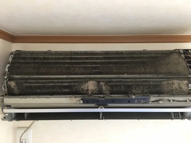 2台以上で割引◎安心の損害保険加入済み！弊社のスタッフは全員非喫煙者です！サービスの画像