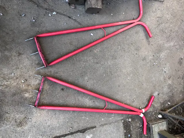 ☆業界歴23年☆ 外注作業なし！大手での経験も豊富です！芝刈除草申込で半額！サービスの画像