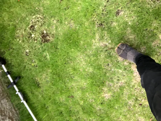 ☆業界歴23年☆ 外注作業なし！大手での経験も豊富です！芝刈除草申込で半額！サービスの画像