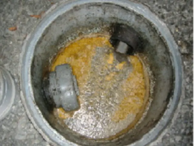 女性スタッフ同行で安心！必ず２名で作業にお伺いします！サービスの画像