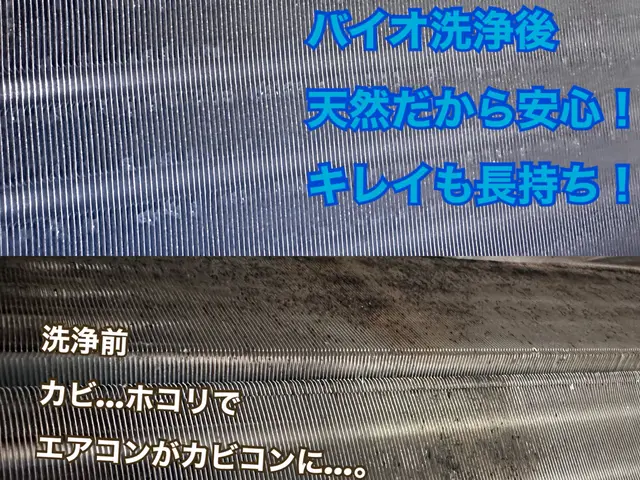 エアコンバイオ洗浄★天然でやさしい風に早変わり、完全分解対応・損害保険対応店！サービスの画像