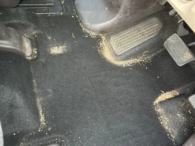 【菌が繁殖する前に！】車内シートを丸洗い！アルカリ電解水やスチーム除菌と光触媒サービスの画像