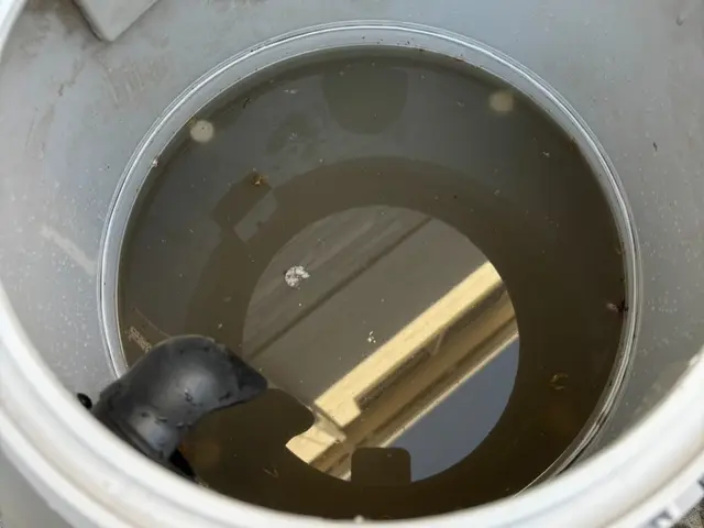 【菌が繁殖する前に！】車内シートを丸洗い！アルカリ電解水やスチーム除菌と光触媒サービスの画像