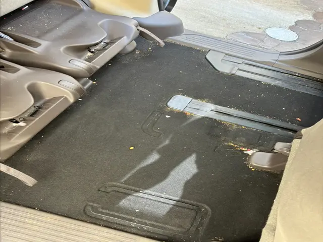 【菌が繁殖する前に！】車内シートを丸洗い！アルカリ電解水やスチーム除菌と光触媒サービスの画像