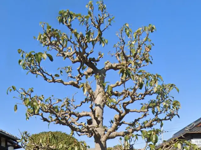 【年中無休で対応しております◎】業界30年の経験あり！店長の私が対応いたします！サービスの画像