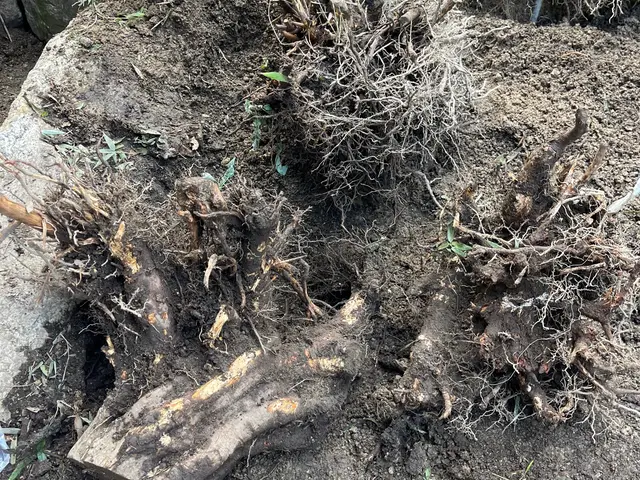 【年中無休で対応しております◎】業界30年の経験あり！店長の私が対応いたします！サービスの画像