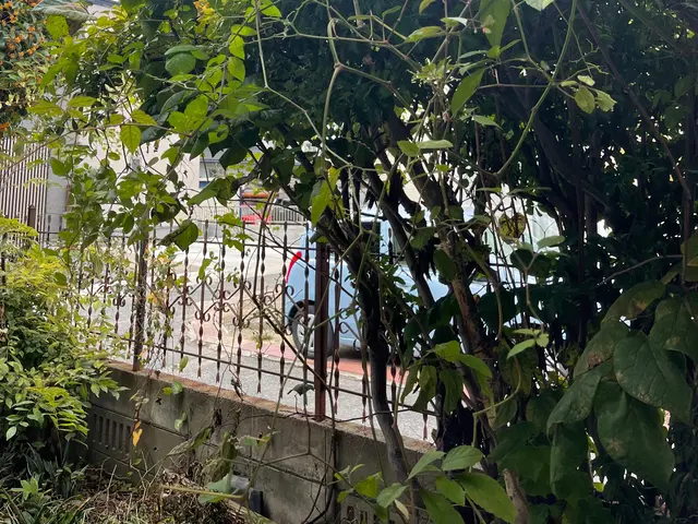 【年中無休で対応しております◎】業界30年の経験あり！店長の私が対応いたします！サービスの画像