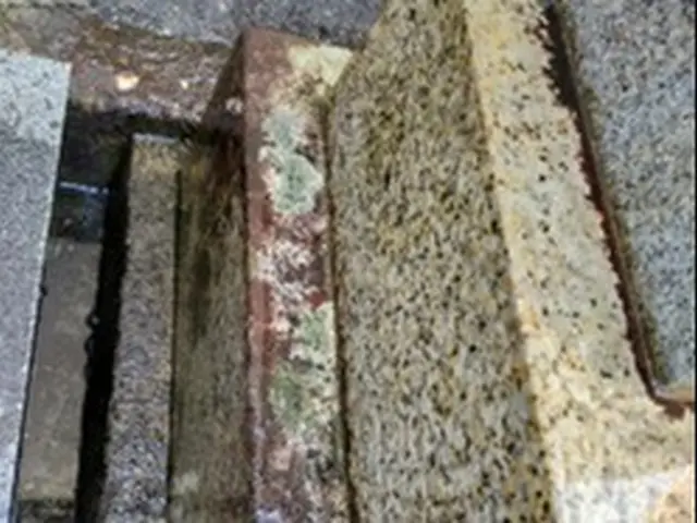 【損害保険加入】大手業務経験あり！駐車代お店負担！親切丁寧な対応！サービスの画像