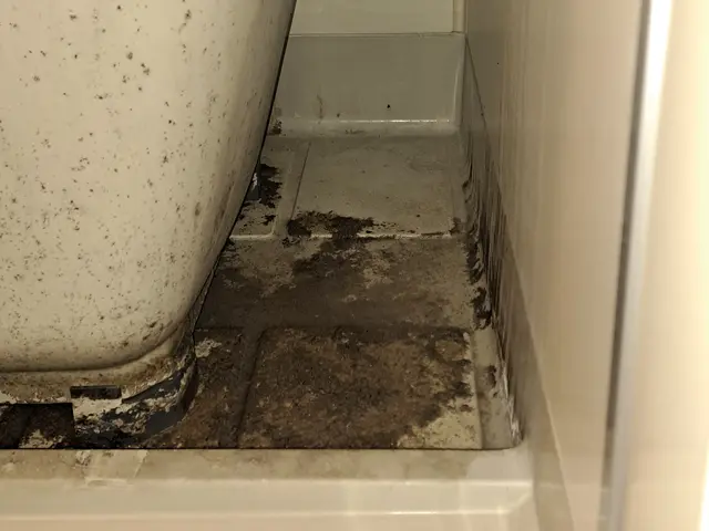 駆除作業好評です。必ず私が伺います！害虫駆除の国家資格有り。サービスの画像