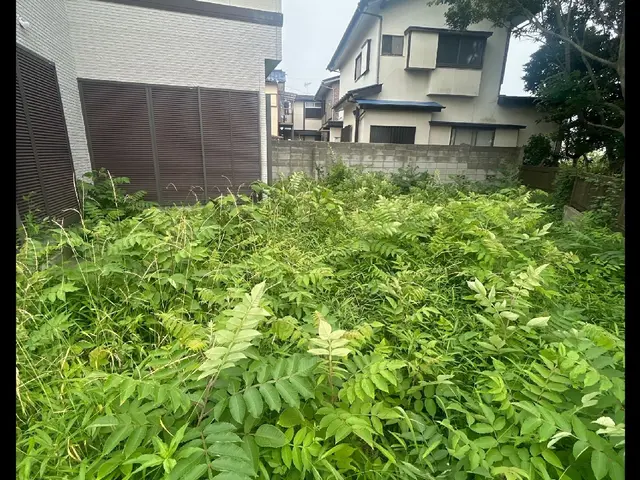 【緊急事態です】草刈り作業をやらせて下さい！お願いします！サービスの画像