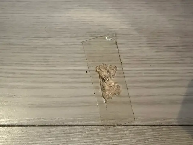 【女性スタッフ同行可能！】大手経験者による安心施工！若手職人が元気よくお伺い！サービスの画像