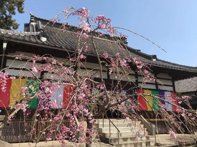 不安を安心に。寄り添うお寺。営業時間外のご相談も可能。悩んだら長慶寺にご相談を。サービスの画像