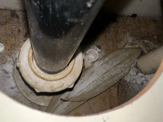 有資格者(国家資格)が迅速対応！安心して眠れる夜を取り戻します！※防除作業監督者サービスの画像