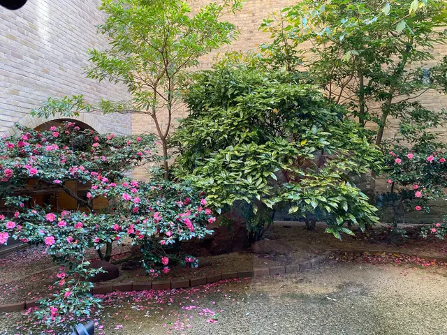 《年中無休・保険加入済み！》お庭のお悩み解決！ご要望に応じた提案・作業を行いますサービスの画像