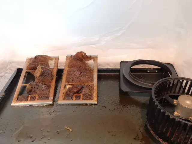 ◆船橋市発！◆ハウスクリーニング士が伺います！◎対応地域外もご相談OK◎サービスの画像