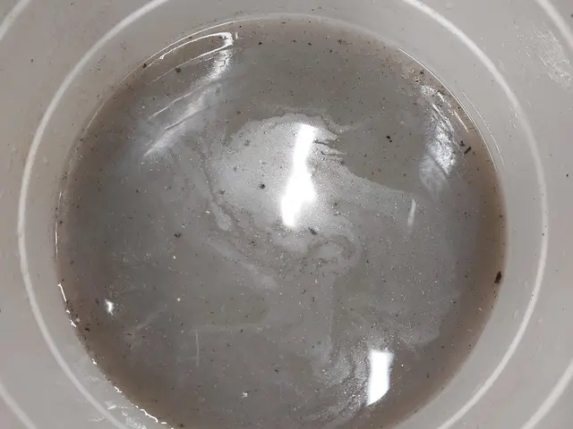 大好評のため期間延長！★☆★ノーマルタイプ限定！6600円キャンペーン★☆★サービスの画像