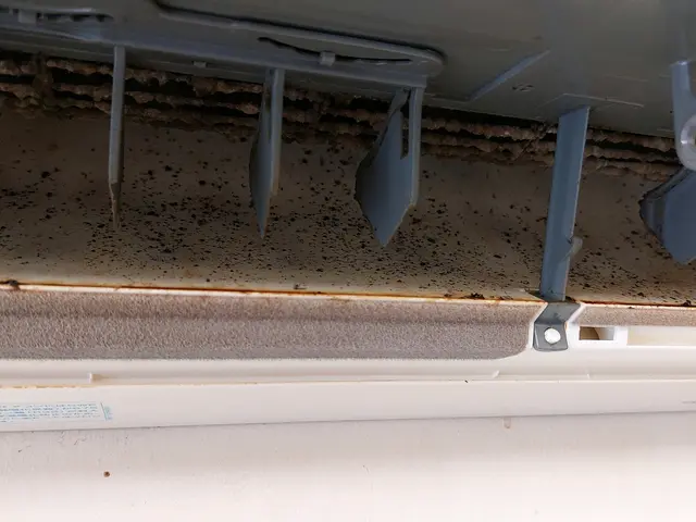 大好評のため期間延長！★☆★ノーマルタイプ限定！6600円キャンペーン★☆★サービスの画像