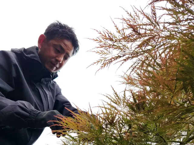 お客様のお力になります！経験と知識を活かして迅速丁寧に作業いたしますサービスの画像