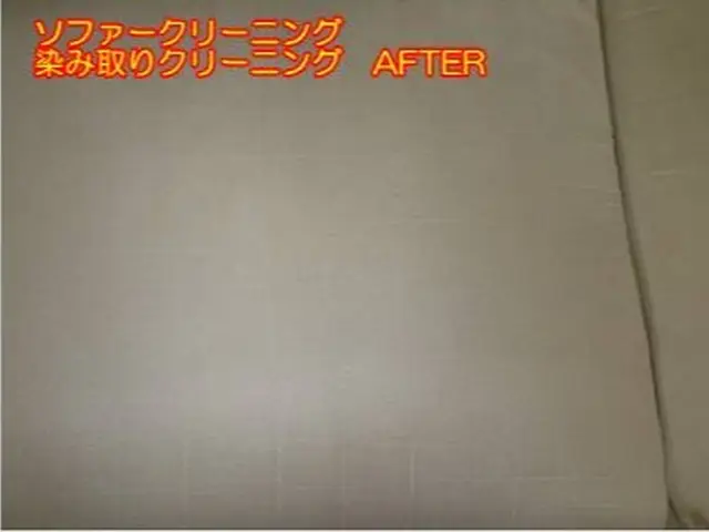 ペットの粗相や嘔吐にも対応するソファークリーニング！抜群の洗浄力で対応！！サービスの画像