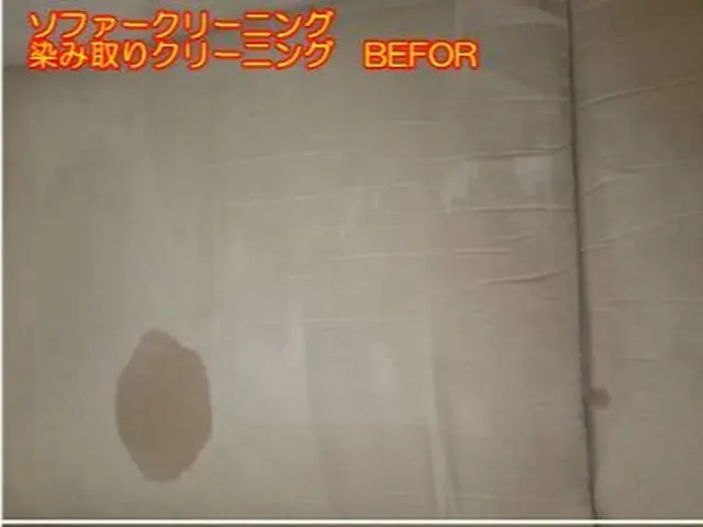 ペットの粗相や嘔吐にも対応するソファークリーニング！抜群の洗浄力で対応！！サービスの画像