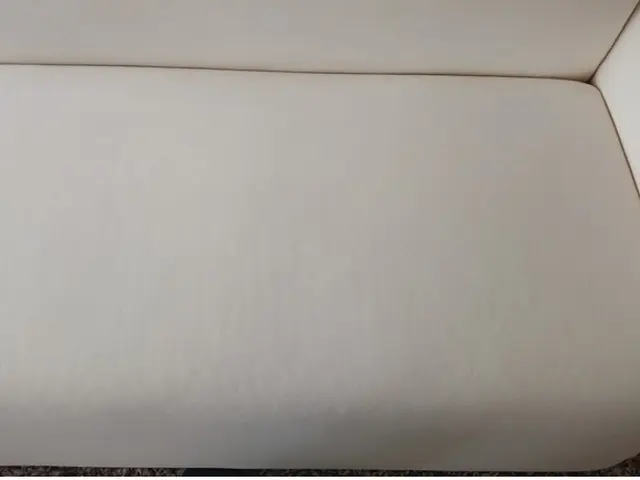 ペットの粗相や嘔吐にも対応するソファークリーニング！抜群の洗浄力で対応！！サービスの画像