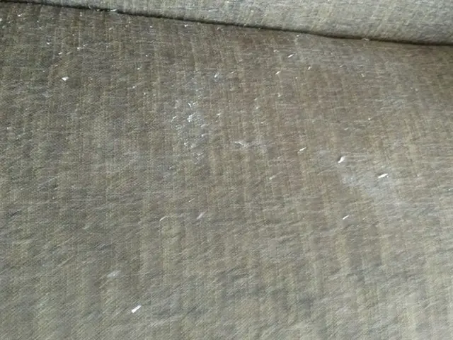 ペットの粗相や嘔吐にも対応するソファークリーニング！抜群の洗浄力で対応！！サービスの画像