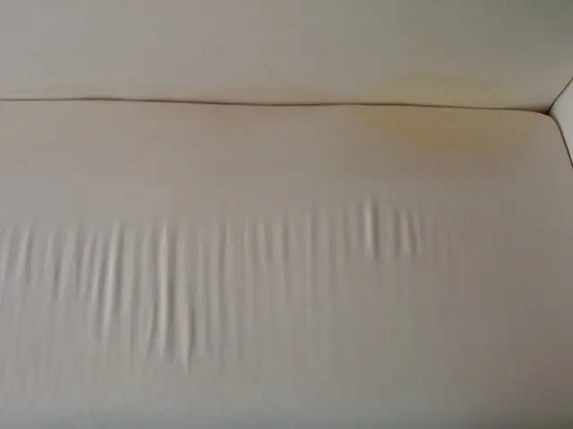 ペットの粗相や嘔吐にも対応するソファークリーニング！抜群の洗浄力で対応！！サービスの画像