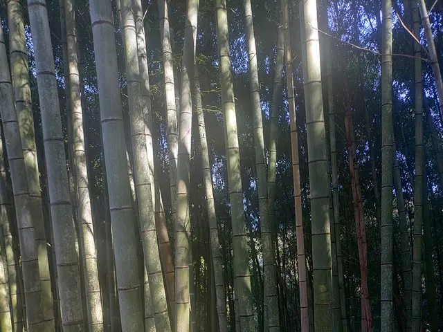 店長が直接訪問！事前説明から最終確認まで安心の自社スタッフ対応！サービスの画像