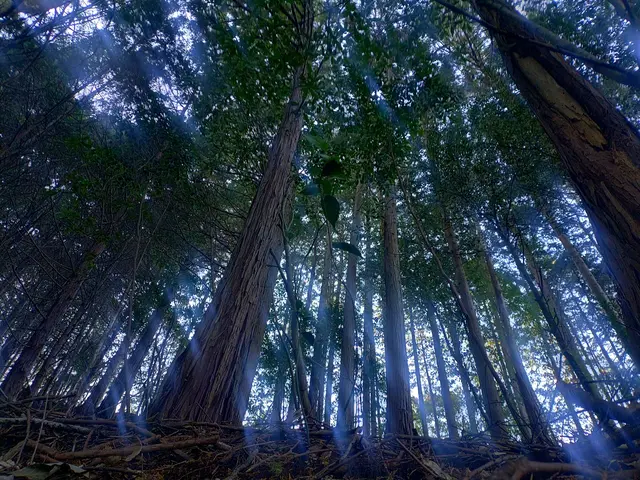 店長が直接訪問！事前説明から最終確認まで安心の自社スタッフ対応！サービスの画像