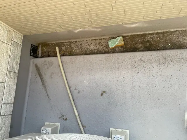 特別キャンペーン！11月中にご予約頂いたお客様限定価格になります！サービスの画像