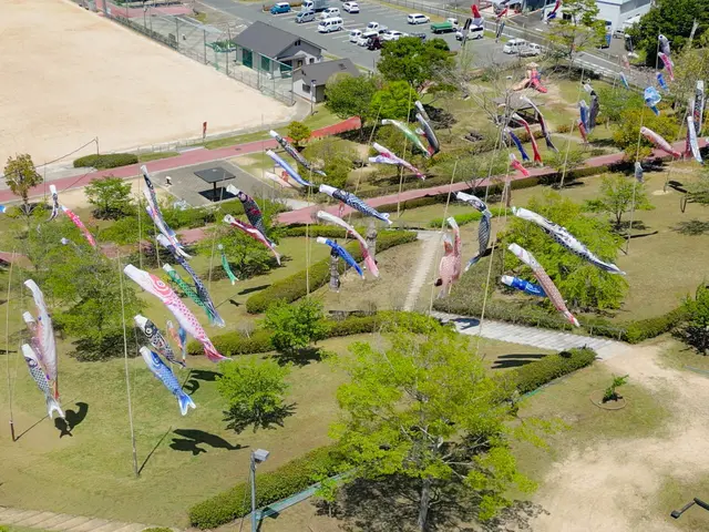 ドローンによる空撮