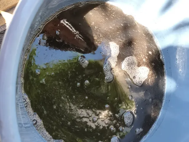 丁寧な作業と心のこもったサービス！丁寧・迅速・安心の三拍子そろった快適空間づくりサービスの画像