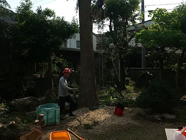 どんな大きな樹木でもお任せ下さい！【職人歴20年の経験と実績】安心の損害保険加入サービスの画像