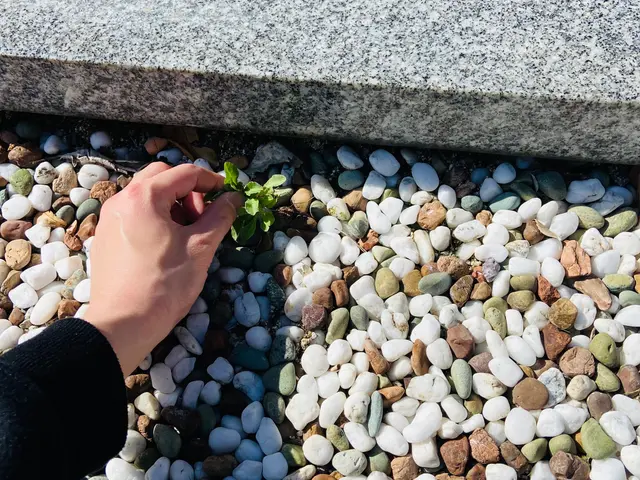 大好きな故人様のお墓を真心込めてお墓参りお掃除を致します。ぜひお盆前に！サービスの画像