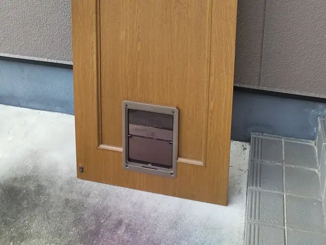 ペットドアの取付・製作なら当店へ！サービスの画像