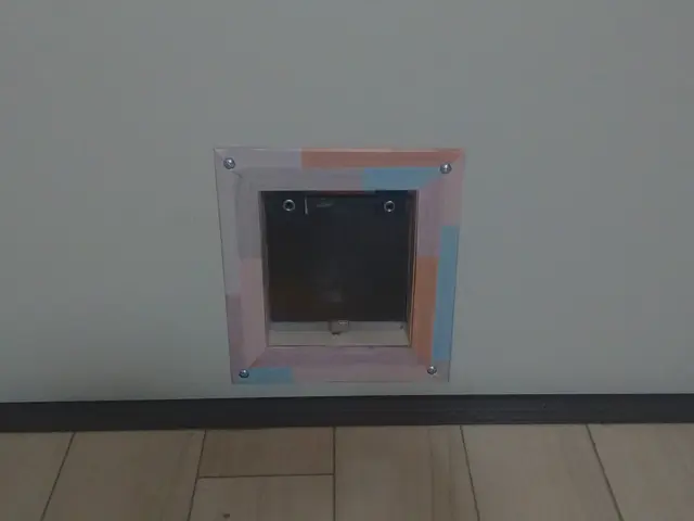 ペットドアの取付・製作なら当店へ！サービスの画像