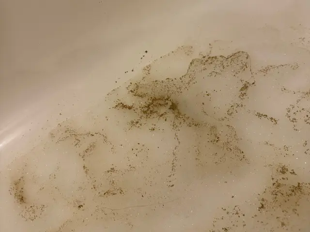 洗浄力最強ファインバブル洗浄◎配管内を根こそぎ洗浄&強力除菌！サービスの画像