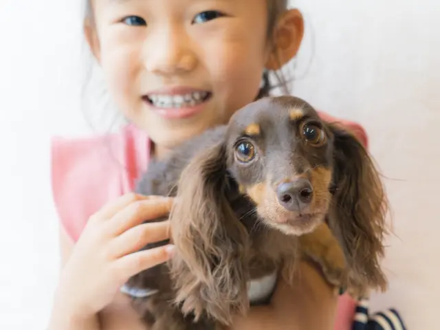 “うちの子らしさ”がそのまま写る写真を。