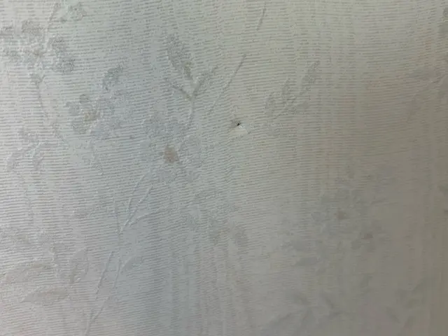 プロの技術でご満足いただけるように心を込めて作業いたしますサービスの画像