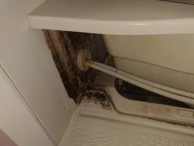 すべて自社対応◎損害保険加入済み！訪問時の駐車場代は当店が負担します♪サービスの画像