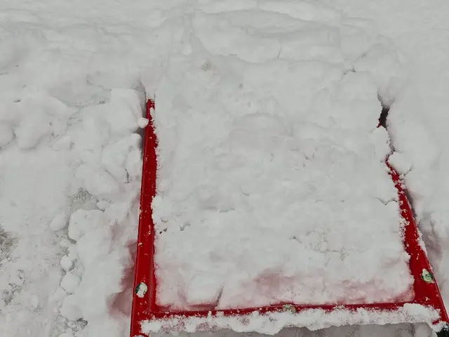 手作業で雪かきや雪下ろしを行います！サービスの画像