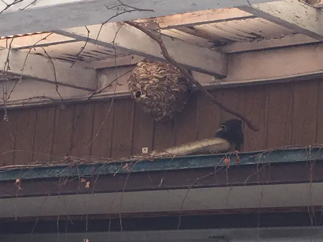 営業時間外対応・当日もしくは翌日対応します！6mまでは15000円!サービスの画像