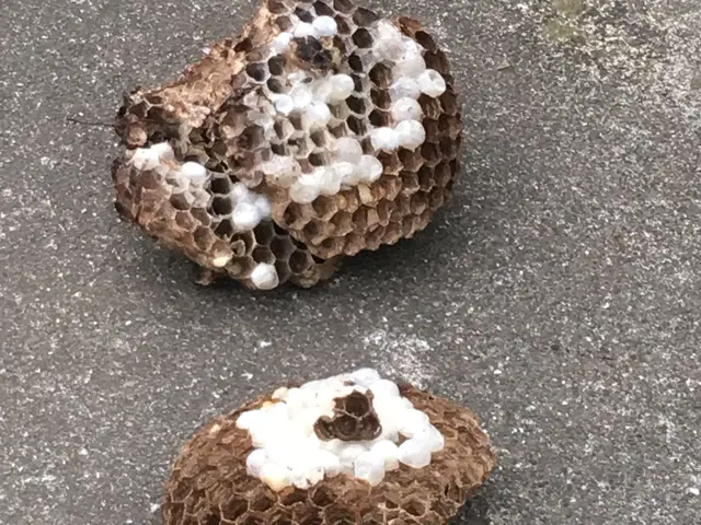 営業時間外対応・当日もしくは翌日対応します！6mまでは15000円!サービスの画像