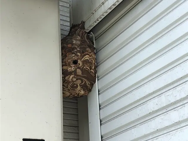 営業時間外対応・当日もしくは翌日対応します！6mまでは15000円!サービスの画像