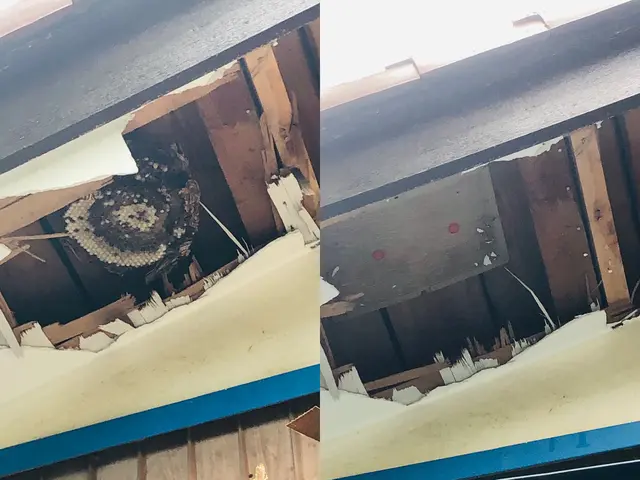 営業時間外対応・当日もしくは翌日対応します！6mまでは15000円!サービスの画像