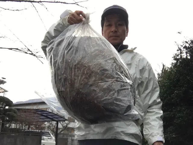 営業時間外対応・当日もしくは翌日対応します！6mまでは15000円!サービスの画像