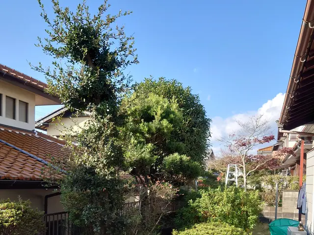 ★お庭も心も軽やかに(*^^*) ★見積無料★ご要望にあわせた作業！値引きアリサービスの画像