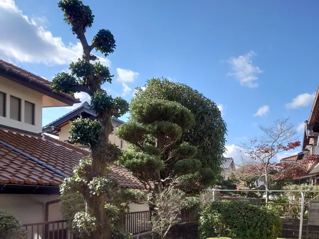 ★お庭も心も軽やかに(*^^*) ★見積無料★ご要望にあわせた作業！値引きアリサービスの画像