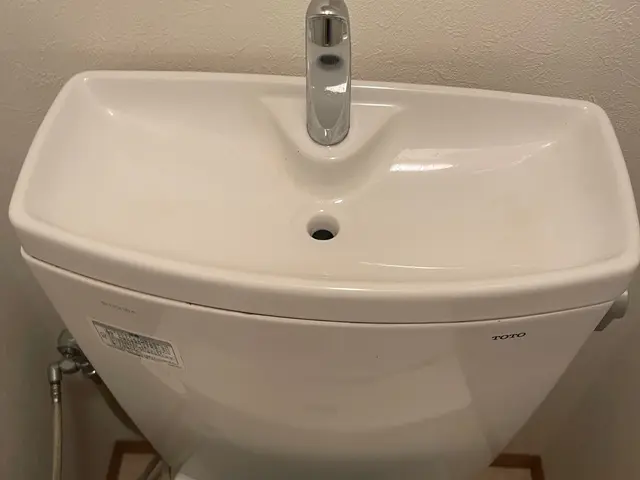 お客様満足の「技術」があります！トイレまるごとピカピカクリーニングサービスの画像